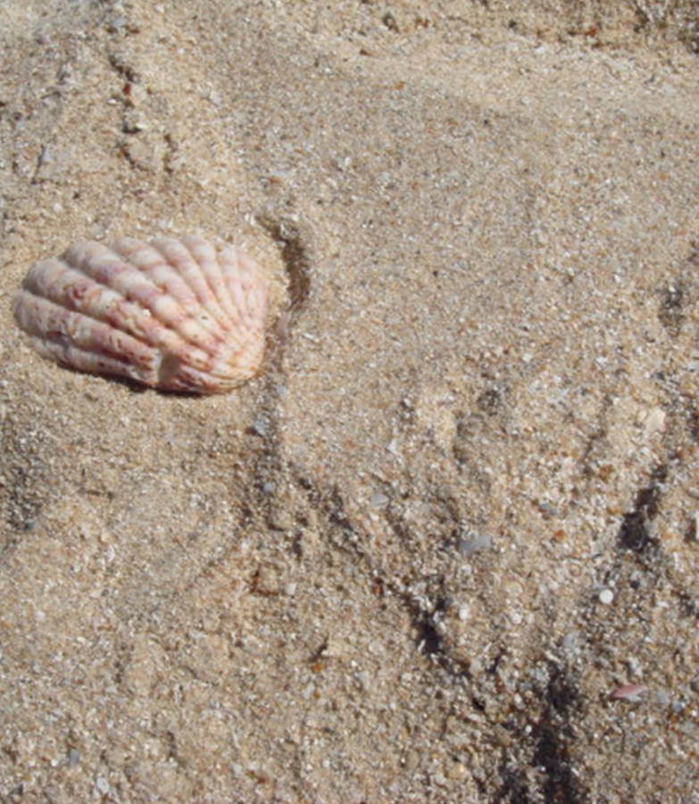 Cable Beach, Austrália